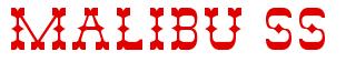 Rendering -MALIBU SS - using Rodeo