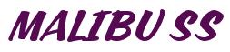 Rendering -MALIBU SS - using Casual Script