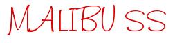 Rendering -MALIBU SS - using Freehand 591