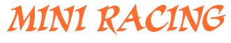 Rendering -MINI RACING - using Braveheart