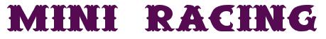 Rendering -MINI RACING - using Saloon
