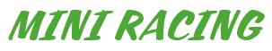 Rendering -MINI RACING - using Casual Script