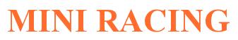 Rendering -MINI RACING - using Times New Roman Bold