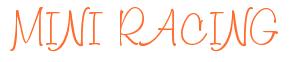 Rendering -MINI RACING - using Freehand 591
