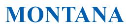 Rendering -MONTANA - using Times New Roman Bold