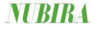 Rendering -NUBIRA - using Floral 