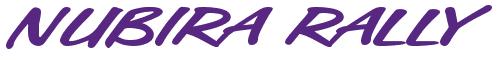 Rendering -NUBIRA RALLY - using Chicago Style