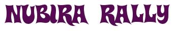 Rendering -NUBIRA RALLY - using Haulnhouse