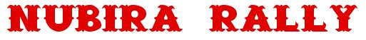 Rendering -NUBIRA RALLY - using Saloon
