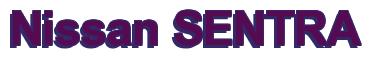 Rendering -Nissan SENTRA - using Arial Bold
