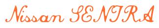 Rendering -Nissan SENTRA - using Commercial Script