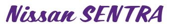 Rendering -Nissan SENTRA - using Casual Script