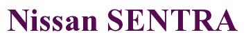 Rendering -Nissan SENTRA - using Times New Roman Bold