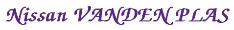 Rendering -Nissan VANDEN PLAS - using Zapf Chancery