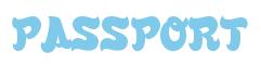 Rendering -PASSPORT - using Fink Brush