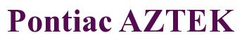 Rendering -Pontiac AZTEK - using Times New Roman Bold