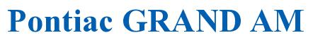 Rendering -Pontiac GRAND AM - using Times New Roman Bold