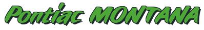Rendering -Pontiac MONTANA - using Fat Cat