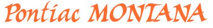 Rendering -Pontiac MONTANA - using Braveheart