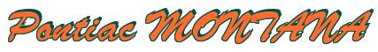 Rendering -Pontiac MONTANA - using Brush Script