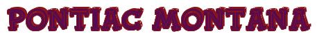 Rendering -Pontiac MONTANA - using FinkBold