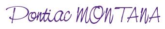 Rendering -Pontiac MONTANA - using Neville Script