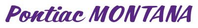 Rendering -Pontiac MONTANA - using Casual Script