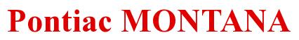 Rendering -Pontiac MONTANA - using Times New Roman Bold