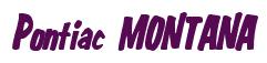 Rendering -Pontiac MONTANA - using Big Nib