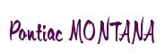 Rendering -Pontiac MONTANA - using Memo
