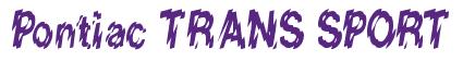 Rendering -Pontiac TRANS SPORT - using Nervous