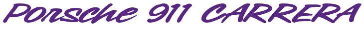 Rendering -Porsche 911 CARRERA - using Chicago Style