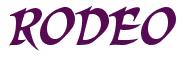 Rendering -RODEO - using Braveheart
