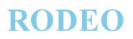Rendering -RODEO - using Times New Roman Bold