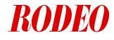Rendering -RODEO - using Floral 