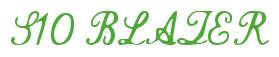 Rendering -S10 BLAZER - using Commercial Script