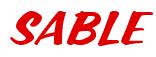 Rendering -SABLE - using Casual Script