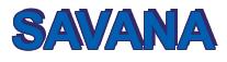 Rendering -SAVANA - using Arial Bold