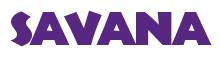 Rendering -SAVANA - using Informal