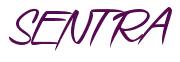 Rendering -SENTRA - using Speed Stroke