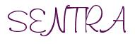 Rendering -SENTRA - using Freehand 591