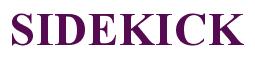Rendering -SIDEKICK - using Times New Roman Bold