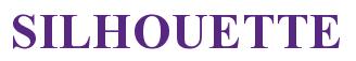 Rendering -SILHOUETTE - using Times New Roman Bold