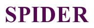 Rendering -SPIDER - using Times New Roman Bold