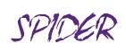 Rendering -SPIDER - using Scratch