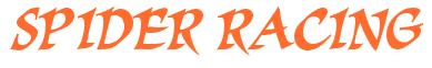 Rendering -SPIDER RACING - using Braveheart