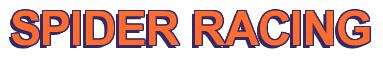 Rendering -SPIDER RACING - using Arial Bold