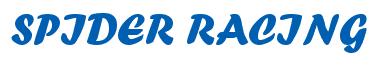 Rendering -SPIDER RACING - using Un Gard