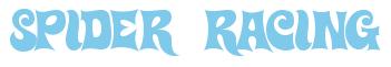 Rendering -SPIDER RACING - using Haulnhouse