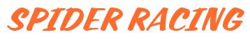 Rendering -SPIDER RACING - using Casual Script